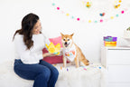 Happy Barkday M/L Bandana Hat Set - Premium Pet Accessories from Pearhead - Just $12.95! Shop now at Pat's Monograms